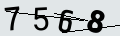 verifycode